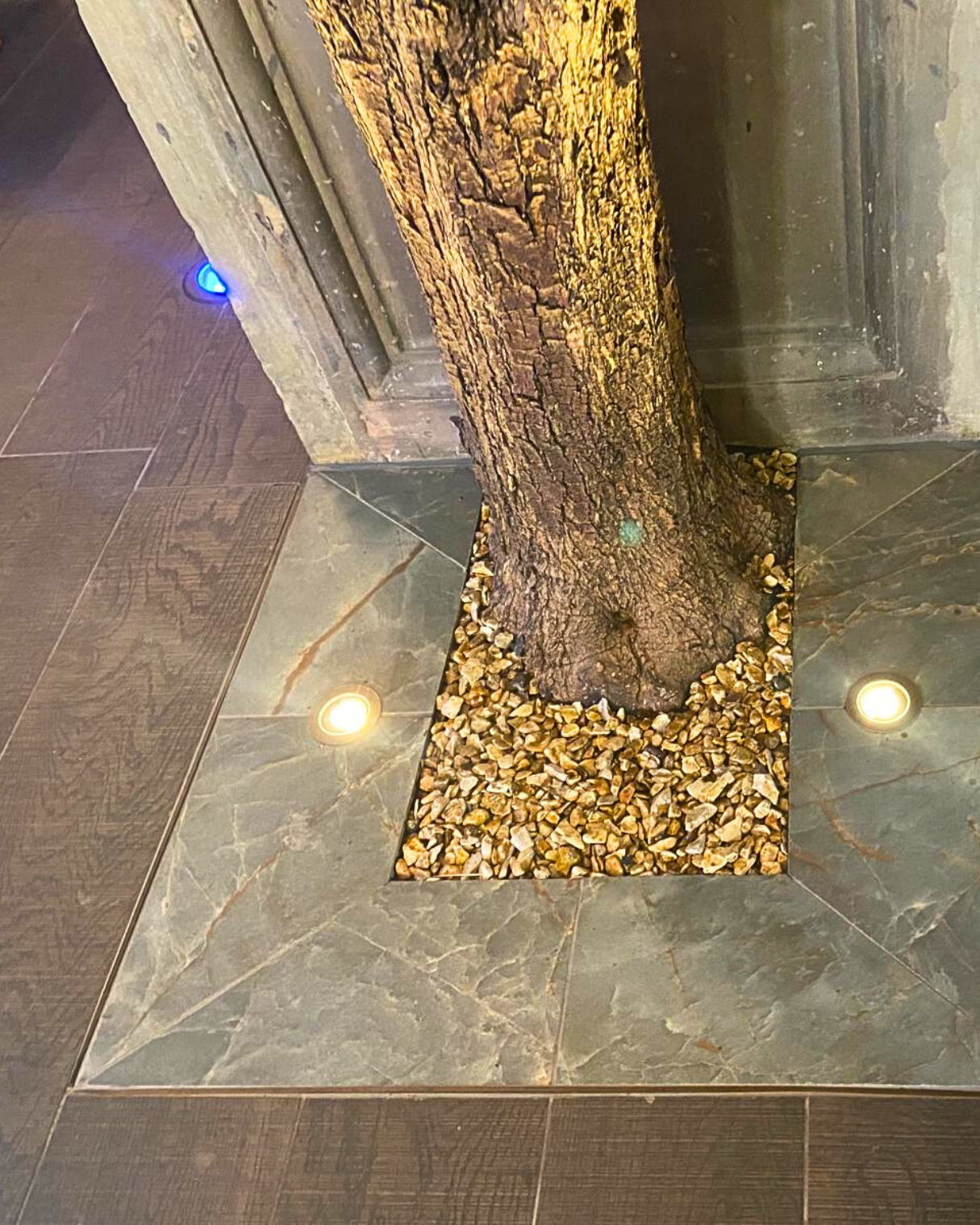 outside the cut and craft bar is a tree surrounded by wood effect floor tiles