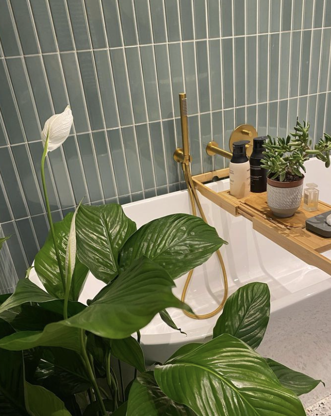Flaut tile with bath and bath tray and plants