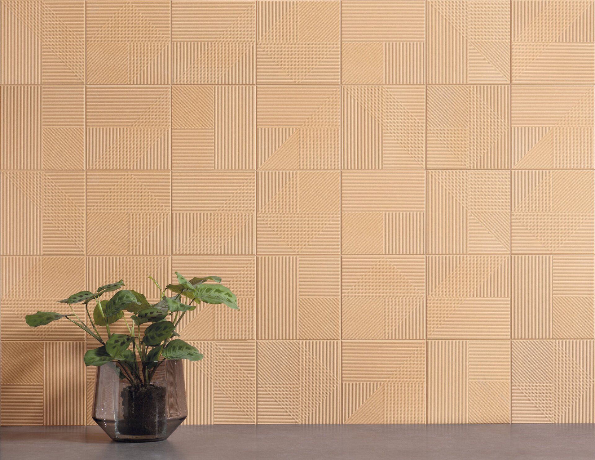 Nairobi peach close up on a wall