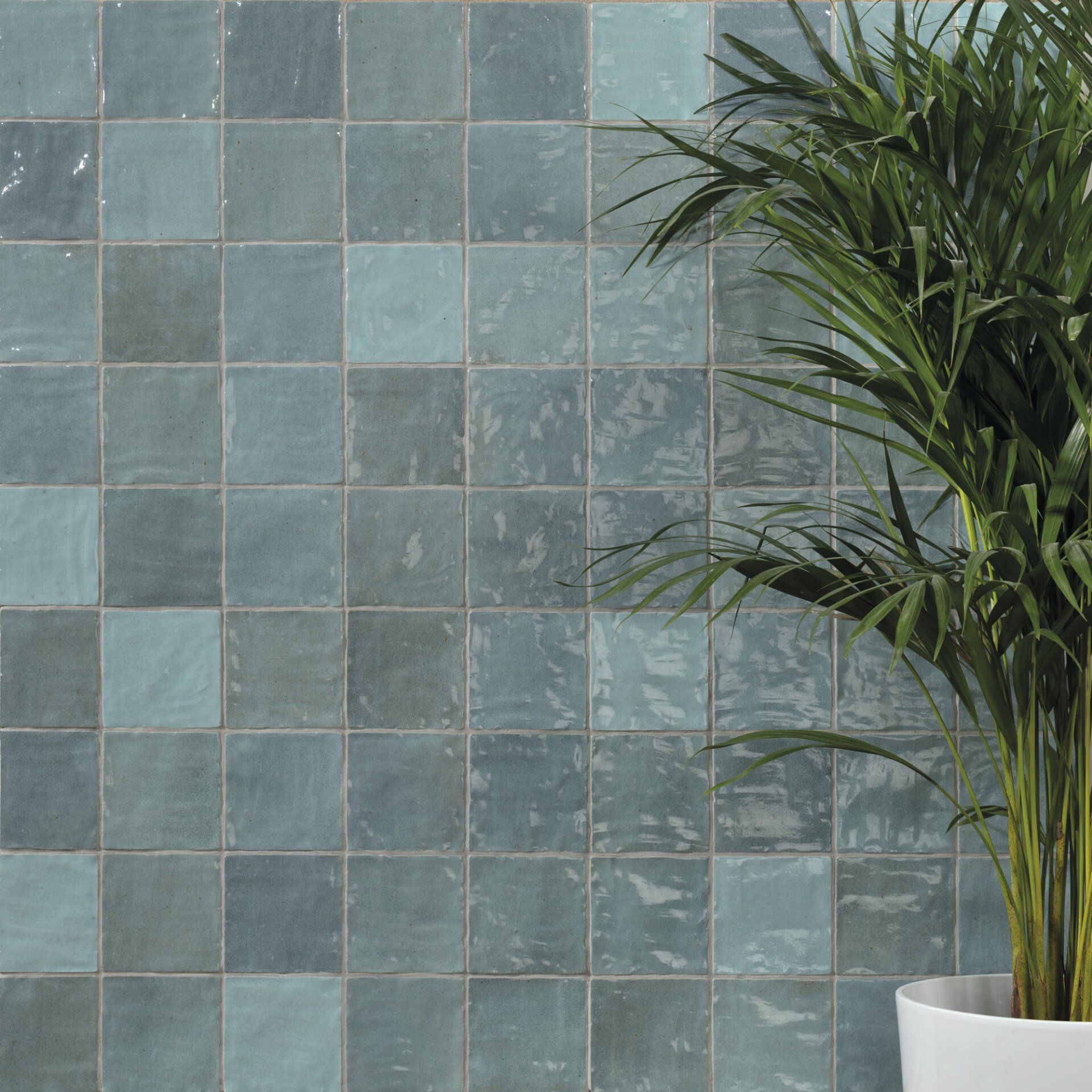 Lyon gloss blue on a feature wall with a plant infront of it