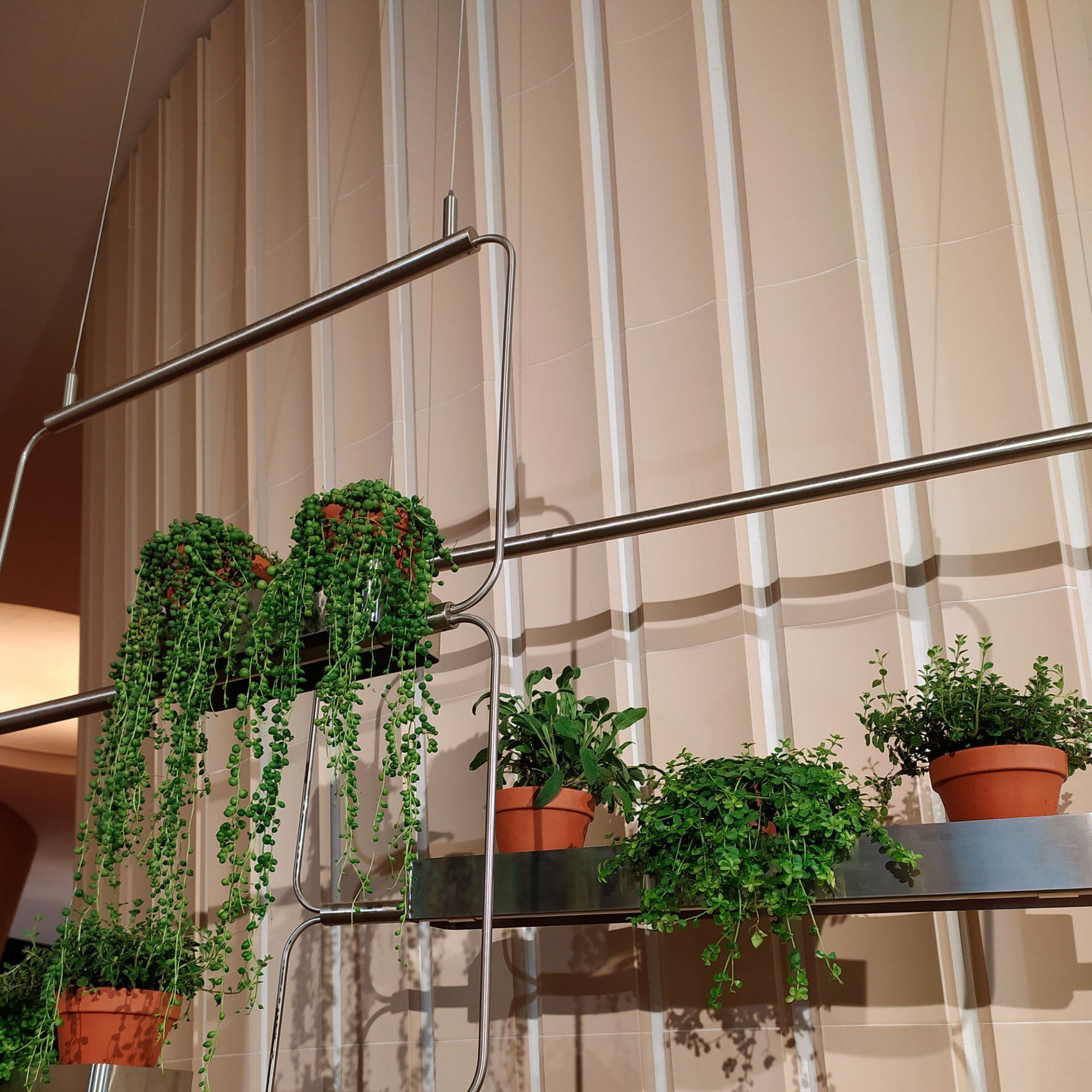 Hanging plant display with lush greenery in terracotta pots, set against a backdrop of beige ceramic wall tiles with a curved design, creating a natural and modern look.