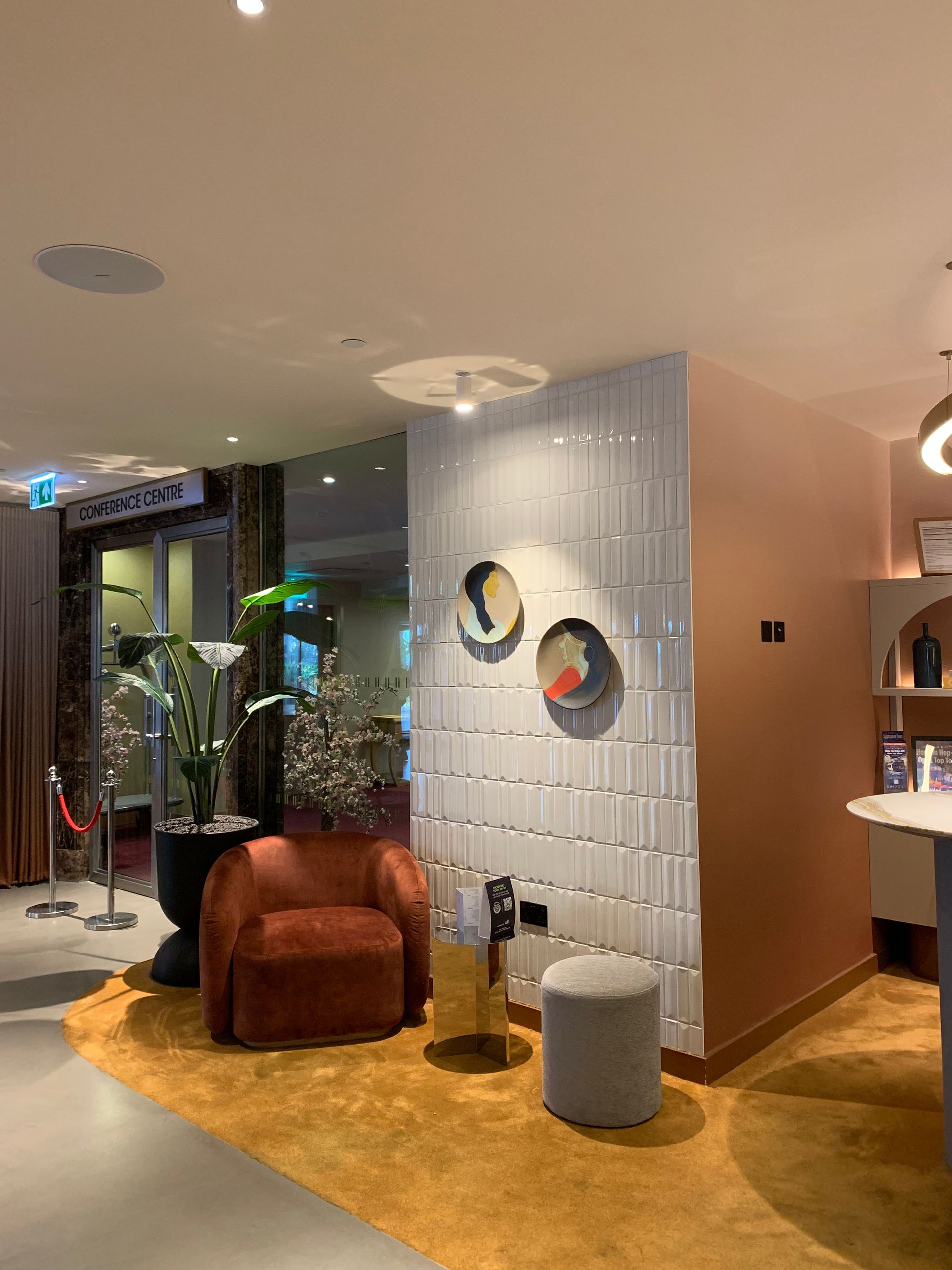 Flaut Blanco gloos on a feature wall in this office