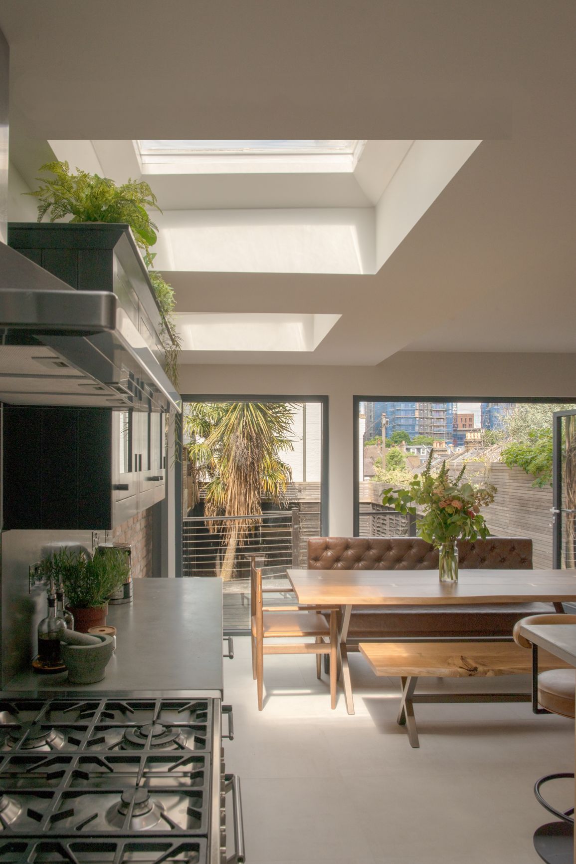 aesthetic image of plants and