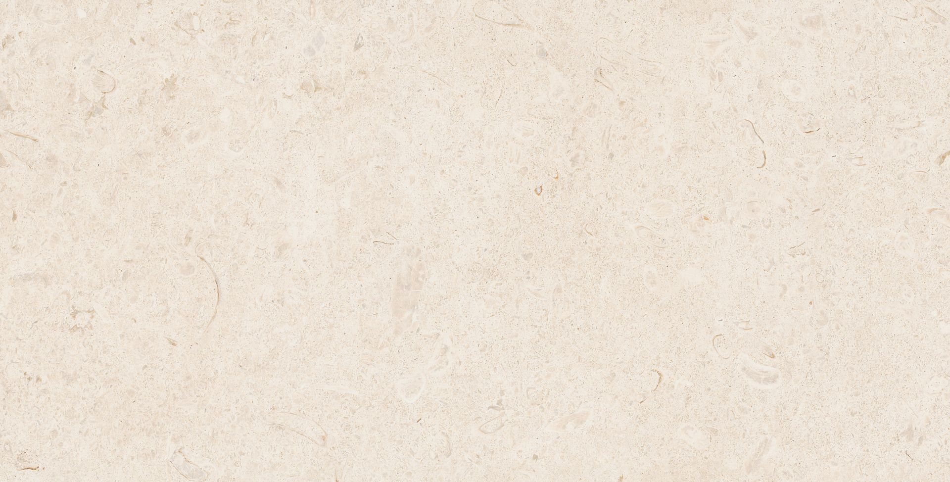 Raw blanco limestone tile