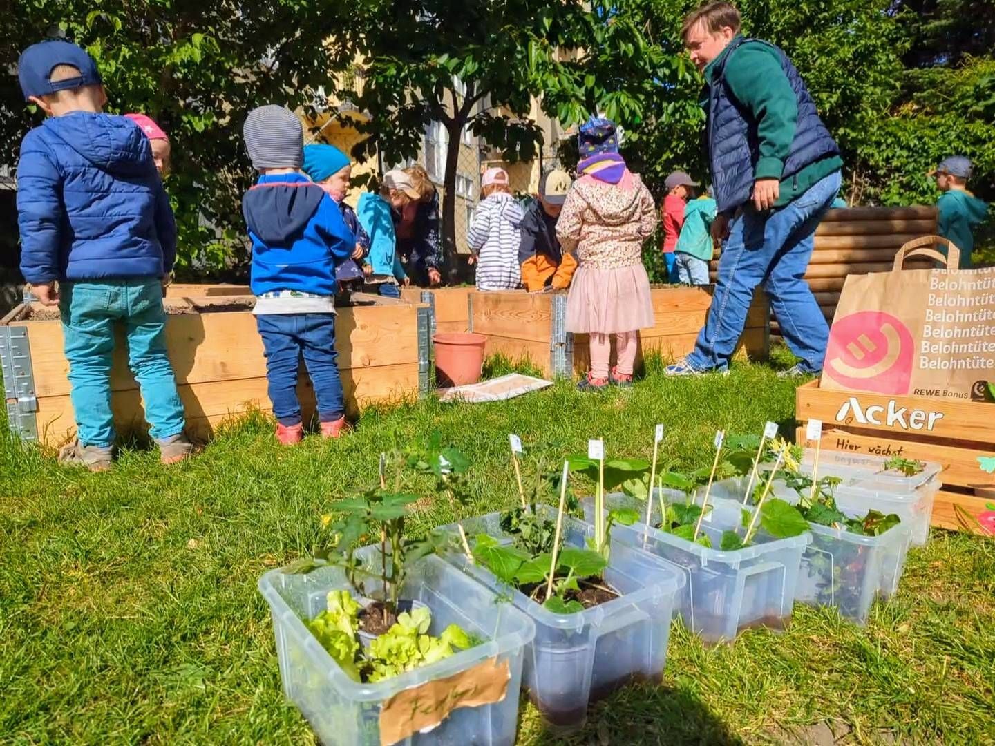 Acker-Racker in der Merseburg