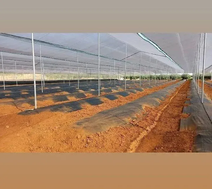 UMBRÁCULO CON MANTA ANTI HIERBA