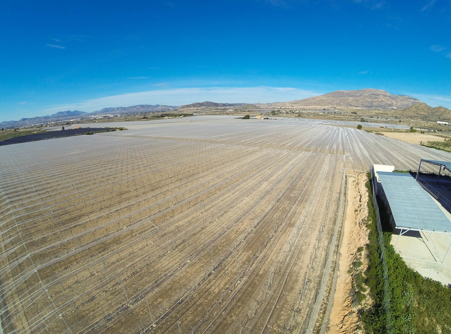 UMBRÁCULOS PARA VIÑAS