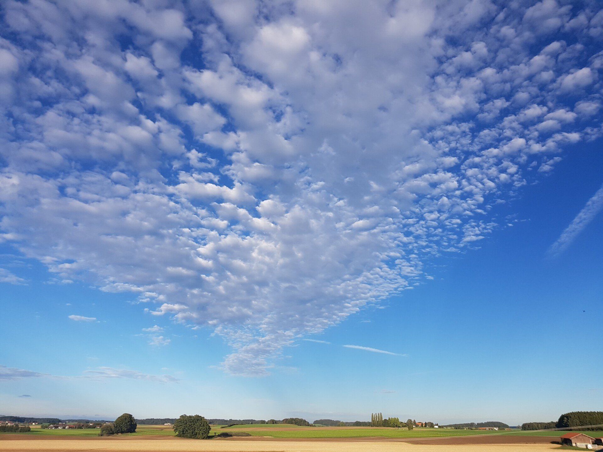 Leichtigkeit des Seins