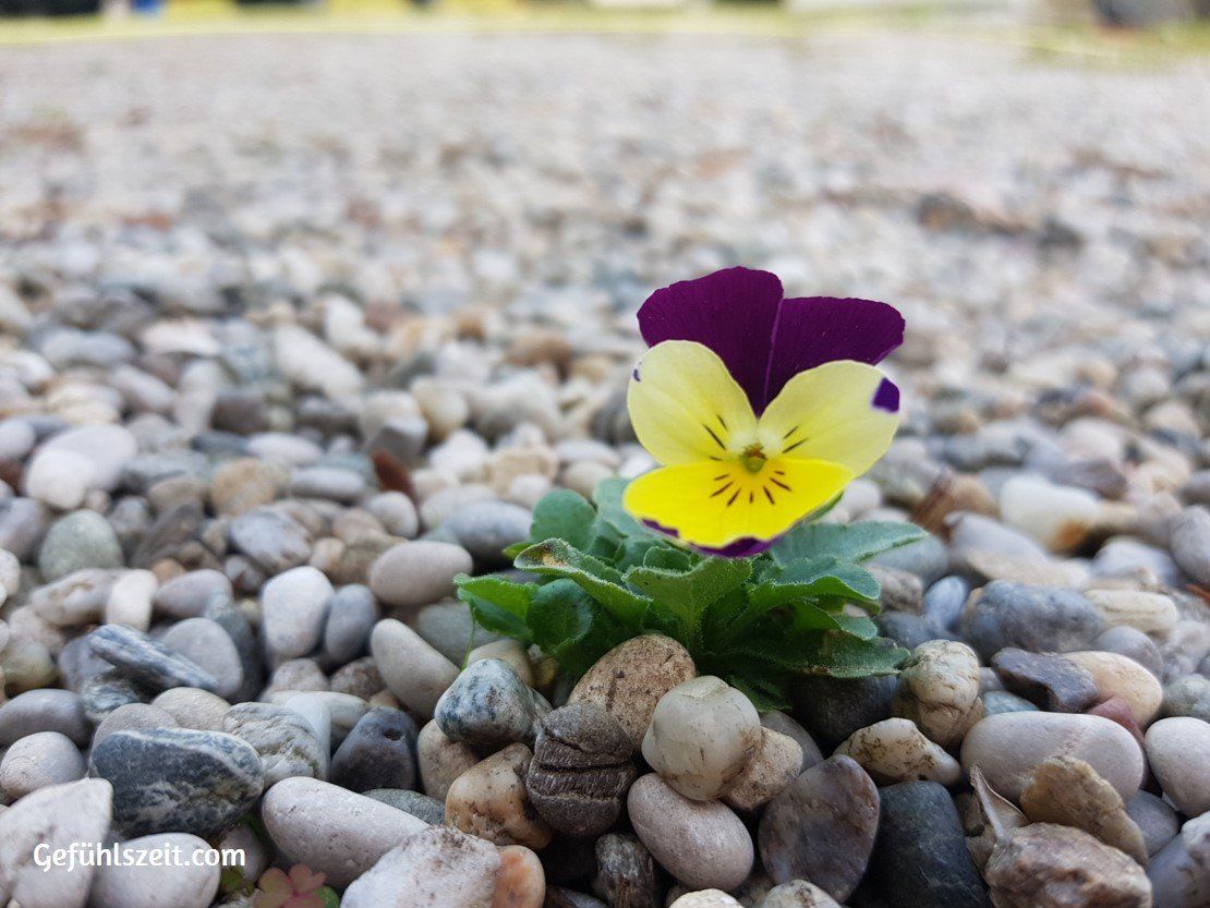 Access Consciousness - The Foundation