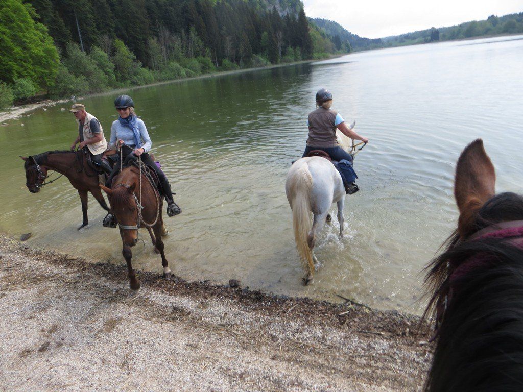 chevaux lac Etival