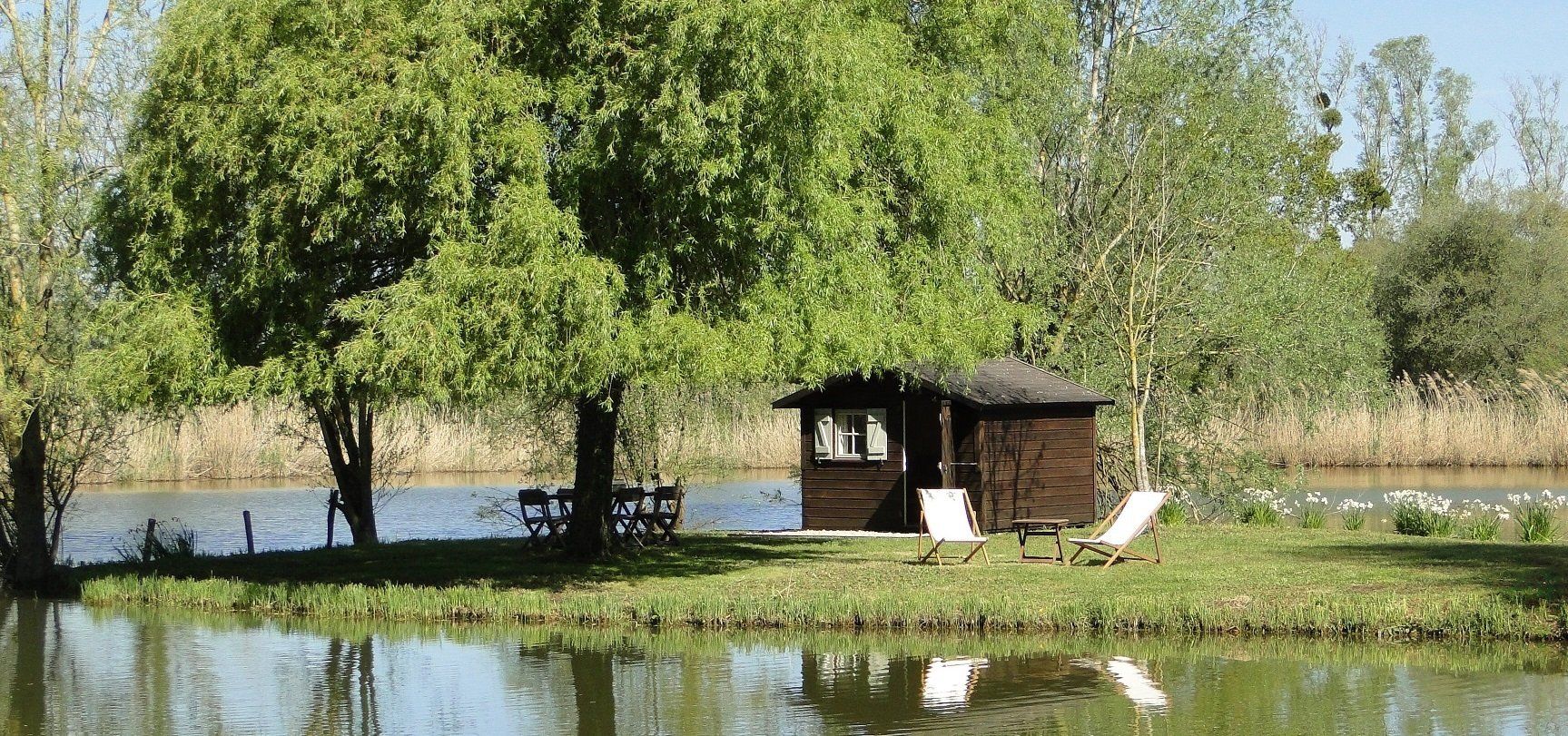 Domaine de La frenelle, Perche, gîte, location, location saisonnière, location maison, gite de charme, Bellême, Mortagne-au-Perche, Le Mans, 24 heures du Mans, Nogent Le Bernard, percheron, longère, domaine, plan d'eau, pêche, randonnées, nature, luxe, calme, chemin, forêt, jardin, terrasse, la perrière, étang