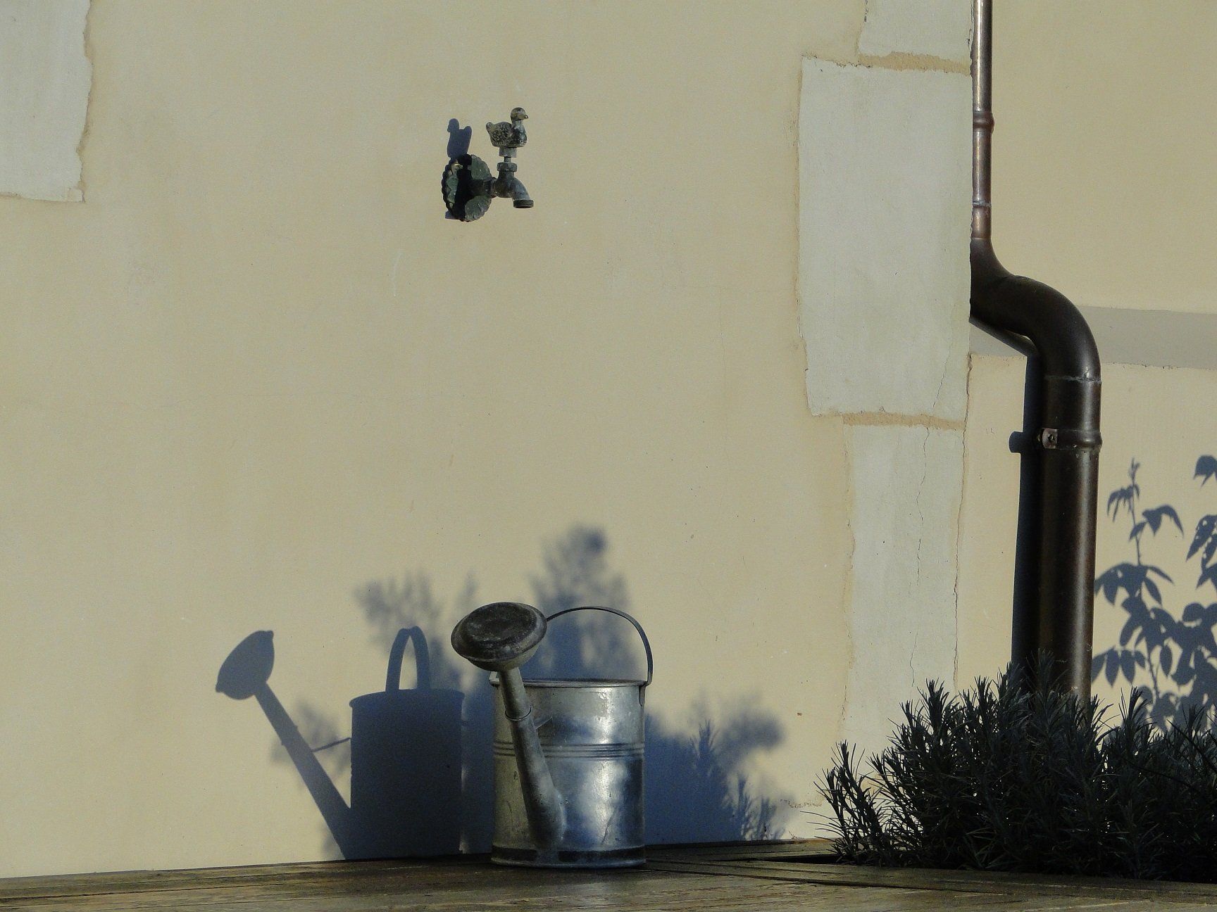 Domaine de La Frenelle, Perche, Parc Naturel régional du Perche, Perche Sarthois, gîte, location, Location de charme, gite de charme, location de luxe, location de prestige, Normandie, Pays de la Loire, location saisonnière, location maison, gite de charme, Bellême, Mortagne-au-Perche, Le Mans, 24 heures du Mans, Nogent Le Bernard, percheron, longère, domaine, randonnées, nature, luxe, calme, la perrière,