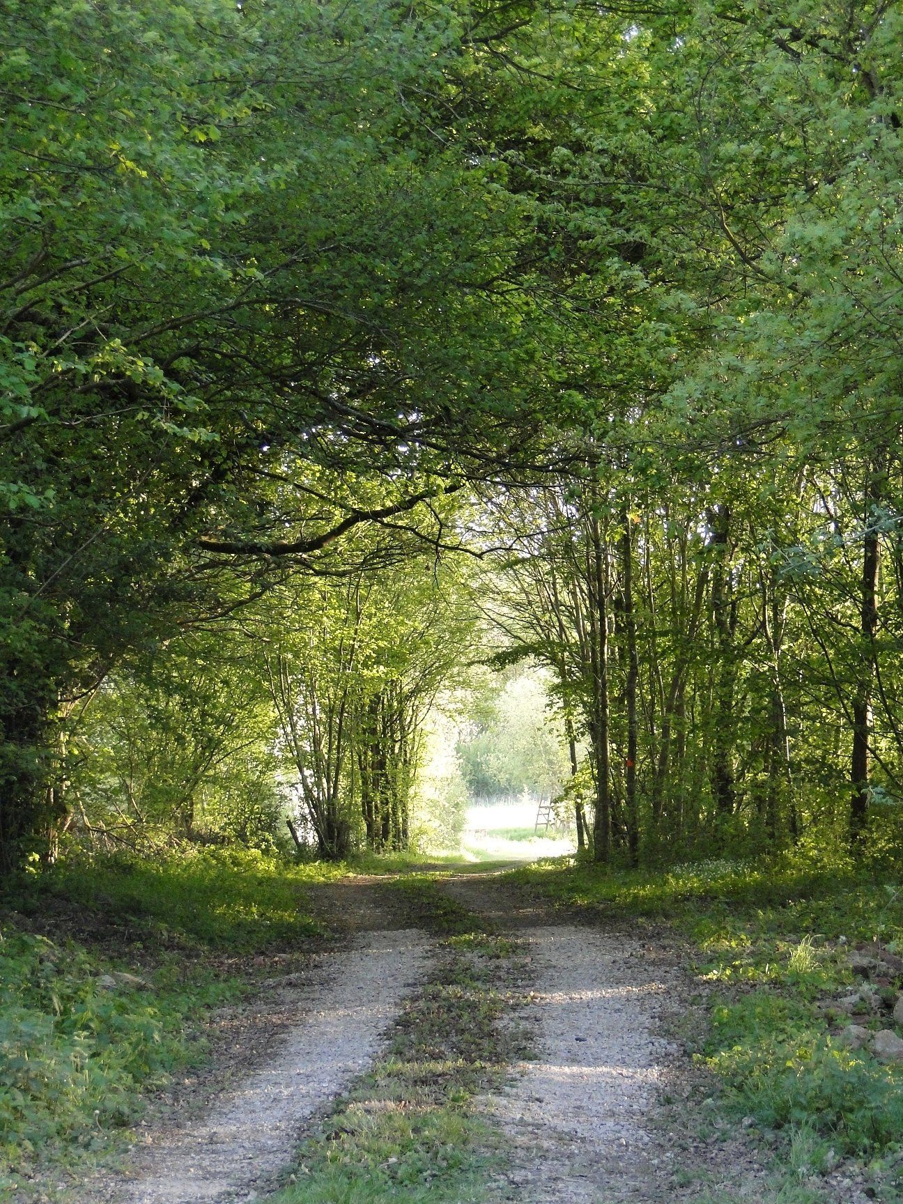 Domaine de La Frenelle, Perche, Parc Naturel régional du Perche, Perche Sarthois, gîte, location, Location de charme, gite de charme, location de luxe, location de prestige, Normandie, Pays de la Loire, location saisonnière, location maison, gite de charme, Bellême, Mortagne-au-Perche, Le Mans, 24 heures du Mans, Nogent Le Bernard, percheron, longère, domaine, randonnées, nature, luxe, calme, la perrière,