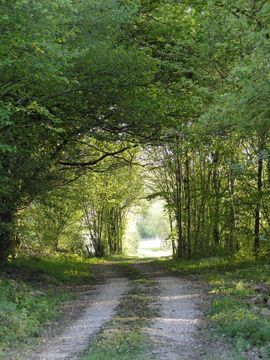 Domaine de La Frenelle, Perche, Parc Naturel régional du Perche, Perche Sarthois, gîte, location, Location de charme, gite de charme, location de luxe, location de prestige, Normandie, Pays de la Loire, location saisonnière, location maison, gite de charme, Bellême, Mortagne-au-Perche, Le Mans, 24 heures du Mans, Nogent Le Bernard, percheron, longère, domaine, randonnées, nature, luxe, calme, la perrière,