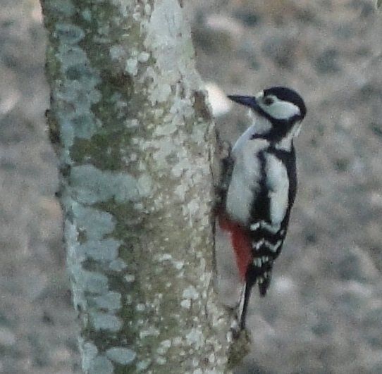 Domaine de La frenelle, Perche, gîte, location, location saisonnière, location maison, gite de charme, Bellême, Mortagne-au-Perche, Le Mans, 24 heures du Mans, Nogent Le Bernard, percheron, longère, domaine, plan d'eau, pêche, randonnées, nature, luxe, calme, chemin, forêt, jardin, terrasse, la perrière, étang