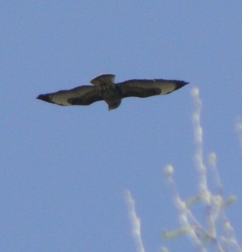 Domaine de La frenelle, Perche, gîte, location, location saisonnière, location maison, gite de charme, Bellême, Mortagne-au-Perche, Le Mans, 24 heures du Mans, Nogent Le Bernard, percheron, longère, domaine, plan d'eau, pêche, randonnées, nature, luxe, calme, chemin, forêt, jardin, terrasse, la perrière, étang