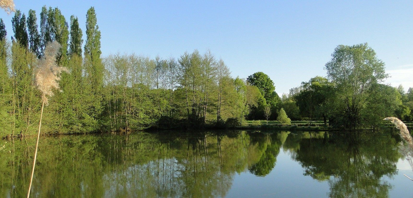 Domaine de La frenelle, Perche, gîte, location, location saisonnière, location maison, gite de charme, Bellême, Mortagne-au-Perche, Le Mans, 24 heures du Mans, Nogent Le Bernard, percheron, longère, domaine, plan d'eau, pêche, randonnées, nature, luxe, calme, chemin, forêt, jardin, terrasse, la perrière, étang