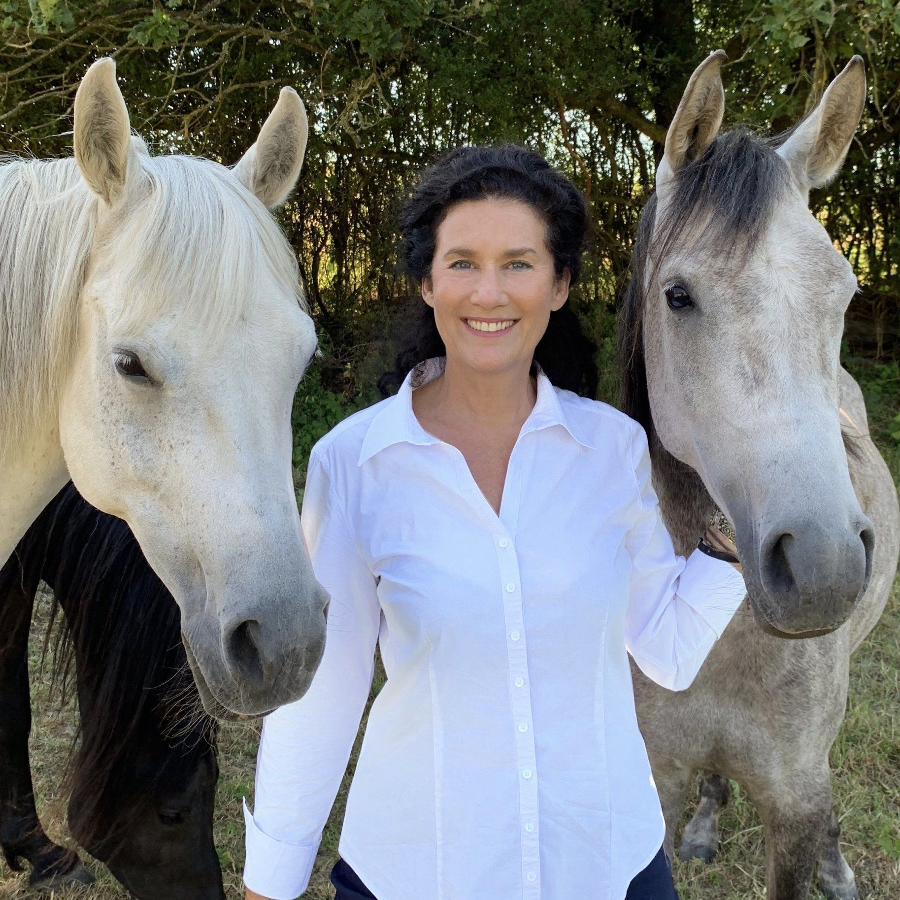 * NLP Coaching mit Pferden * mit Petra Buchholz PAREQUUS Coaching