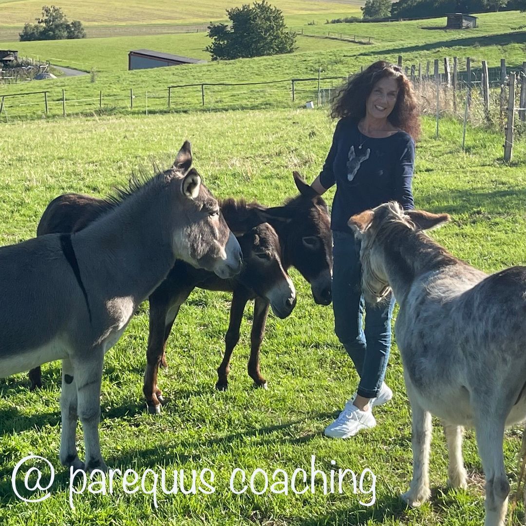 * NLP Coaching mit Eseln * Eselbaden - Transformation in der Stille  mit Petra Buchholz PAREQUUS Coaching