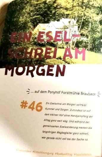 Dumont Reiseführer Mittelrhein