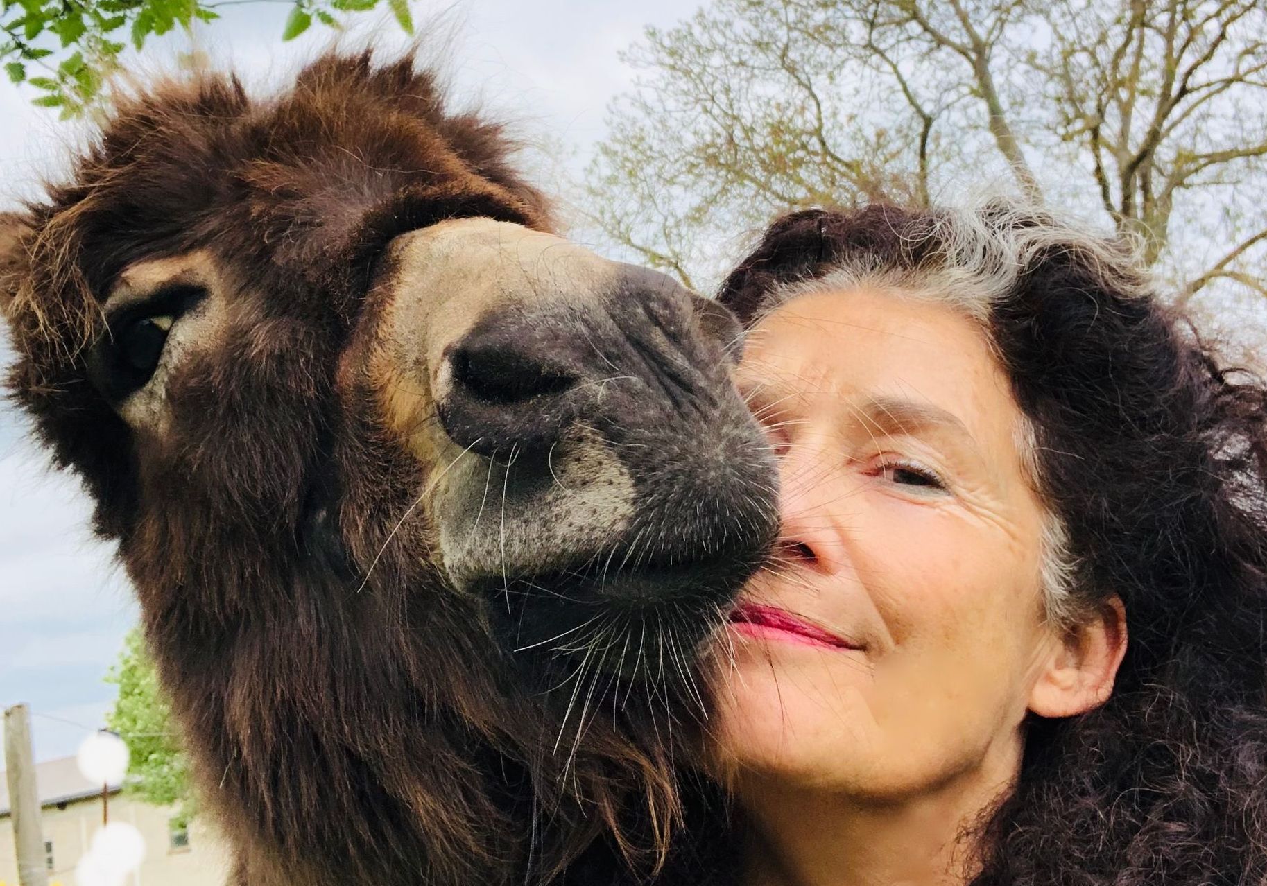 Petra_Buchholz_Coaching_tiergestützt_ mit_Eselbegegnung Petra_Buchholz_Coaching_tiergestützt_ mit_Eselbegegnung