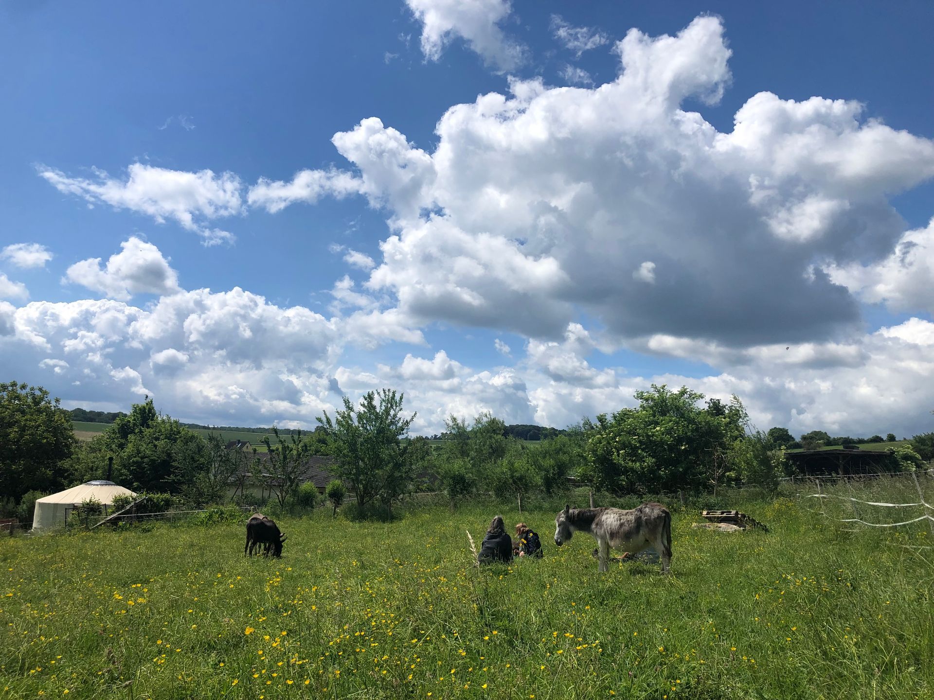 Eselbaden ist eine einzigartige Form der Entschleunigung.