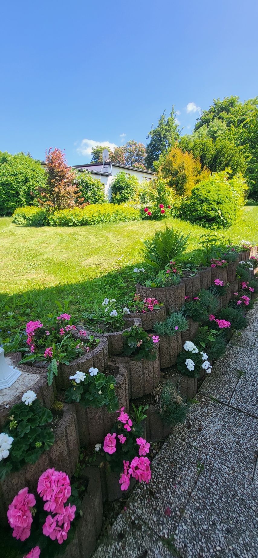D&B staycation Garten