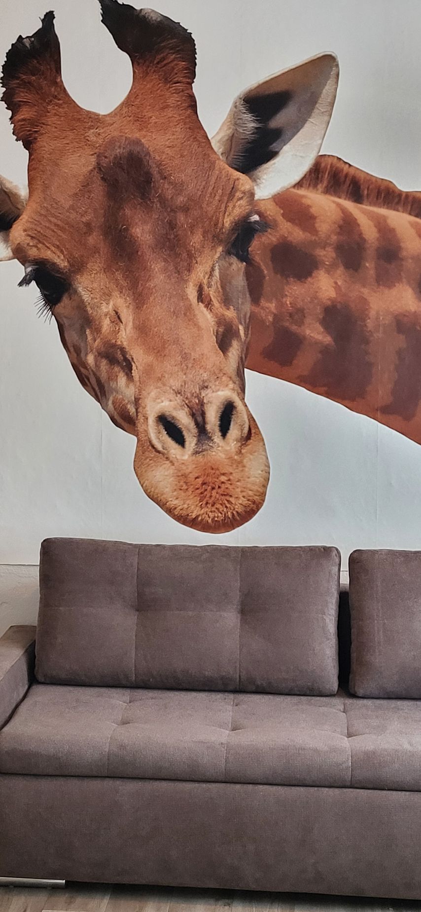 Ferienwohnung D&B stayction