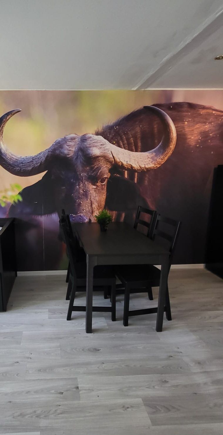 Ferienwohnung D&B stayction