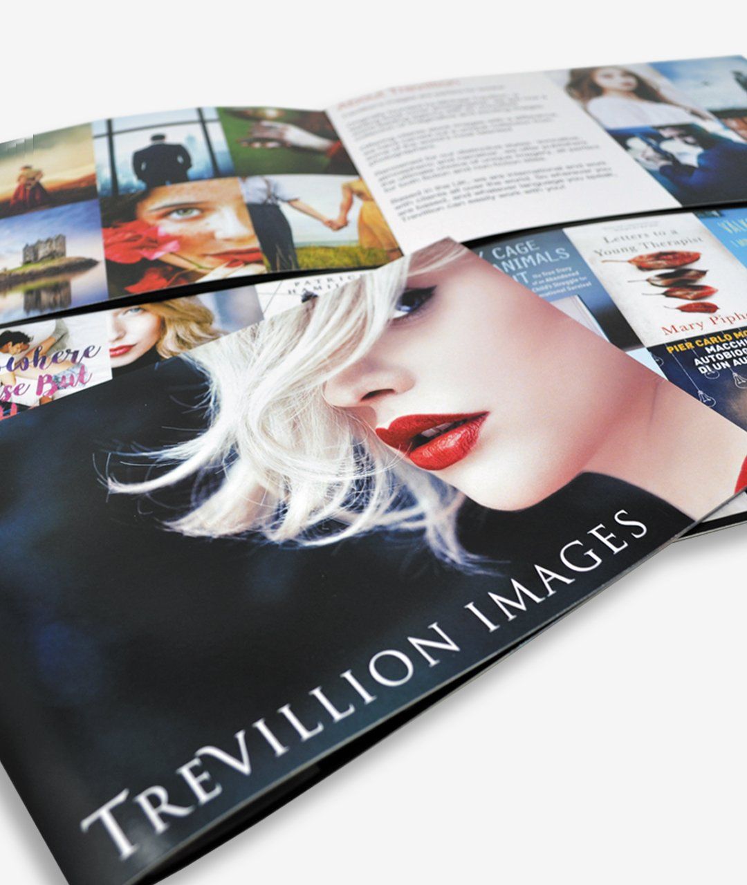 WE PRINT FLYERS, LEAFLETS, FOLDED LEAFLETS, POSTERS, STICKERS, BUSINESS CARDS, RECYCLED, KRAFT, LETTERHEADS, COMPLIMENT SLIPS, GREETING CARDS, POSTCARDS, T SHIRTS, GICLEE, FINE ART, STATIONERY, TABLE TALKERS, CALENDARS, SIGNAGE & MORE. BRIGHTON, HOVE, LONDON & BEYOND.