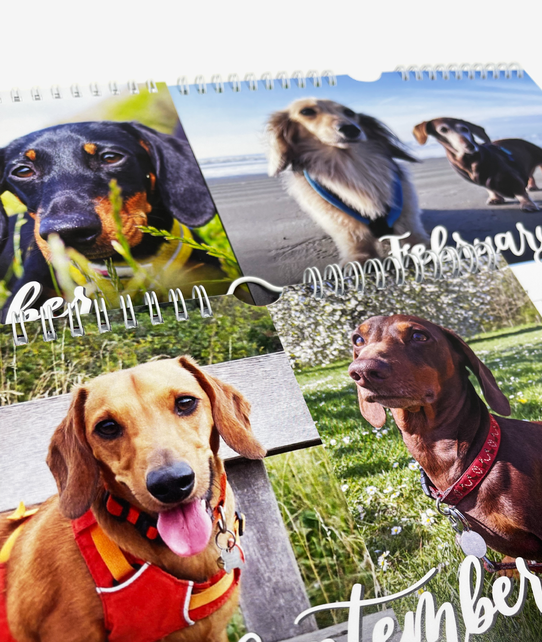 WE PRINT FLYERS, LEAFLETS, FOLDED LEAFLETS, POSTERS, STICKERS, BUSINESS CARDS, RECYCLED, KRAFT, LETTERHEADS, COMPLIMENT SLIPS, GREETING CARDS, POSTCARDS, T SHIRTS, GICLEE, FINE ART, STATIONERY, TABLE TALKERS, CALENDARS, SIGNAGE & MORE. BRIGHTON, HOVE, LONDON & BEYOND. WE PRINT FLYERS, LEAFLETS, FOLDED LEAFLETS, POSTERS, STICKERS, BUSINESS CARDS, RECYCLED, KRAFT, LETTERHEADS, COMPLIMENT SLIPS, GREETING CARDS, POSTCARDS, T SHIRTS, GICLEE, FINE ART, STATIONERY, TABLE TALKERS, CALENDARS, SIGNAGE & MORE. BRIGHTON, HOVE, LONDON & BEYOND.