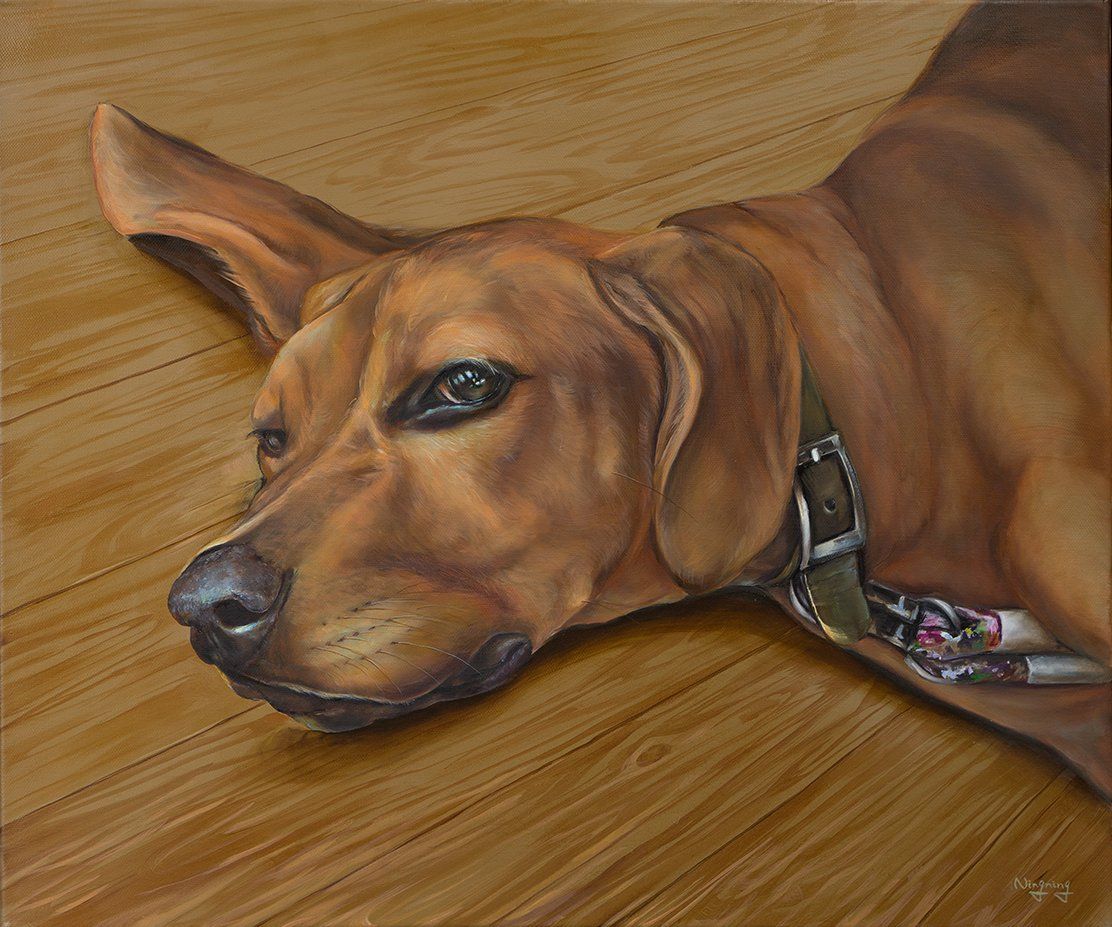 gemaltes Hundeportrait, Tierportrait, Hundeportrait gemalt, Tiermalerei, Auftragsmalerei für Hunde, Hund nach Foto malen, Tierportrait, Kunst , Art , Galerie