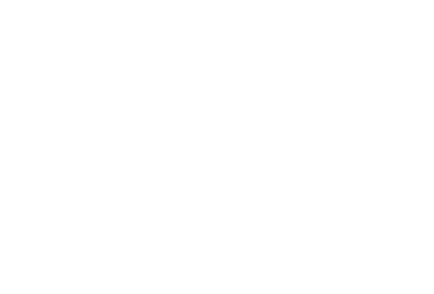 logo fabianbranddirection 2022