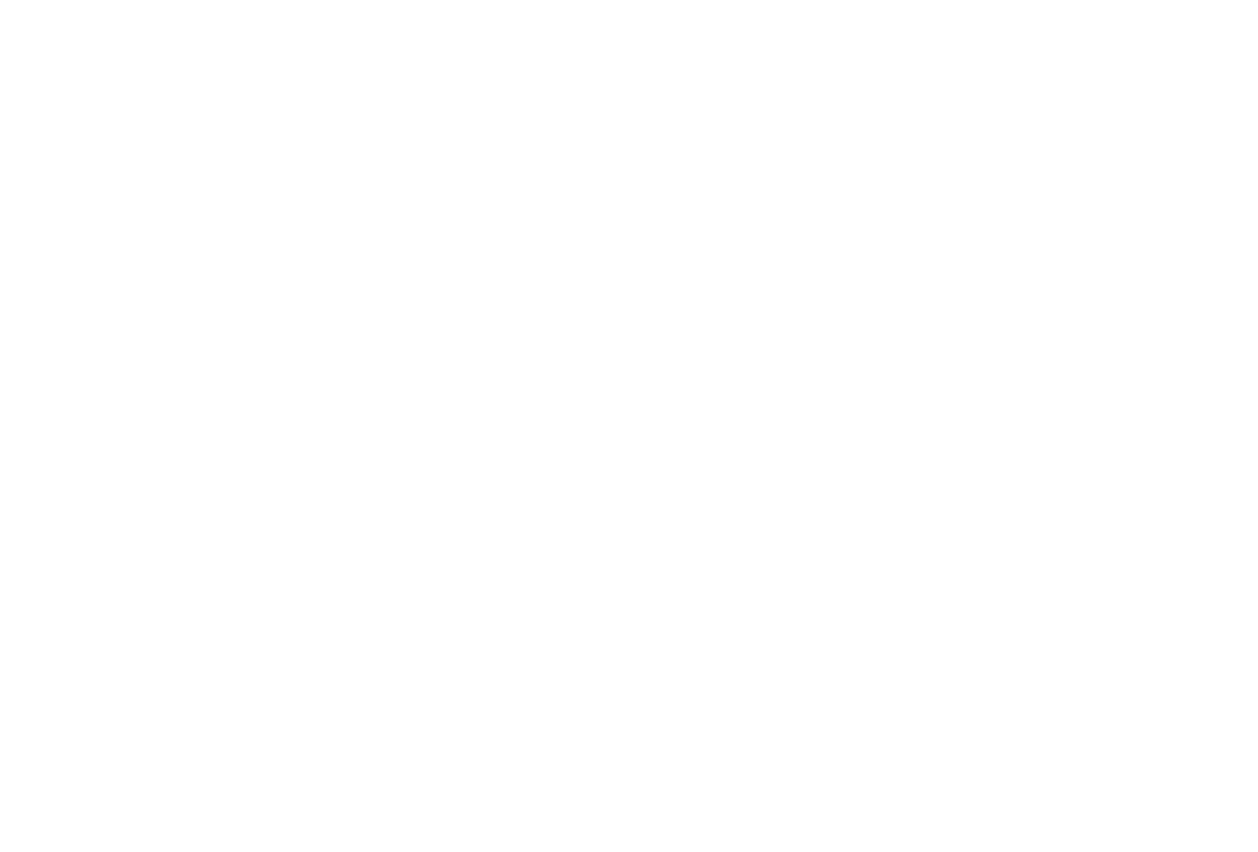 we develop brands. Anlog and digital. logo fabianbranddirection 2022
