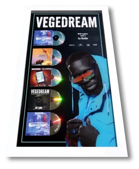 VEGEDREAM - multi-trophées VEGEDREAM - multi-trophées