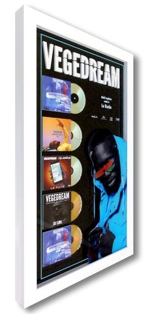 VEGEDREAM - multi-trophées VEGEDREAM - multi-trophées