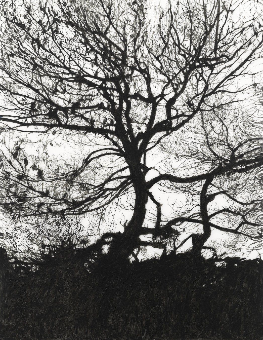 Antigoni Kavvatha, Artists on Hydra Island Greece