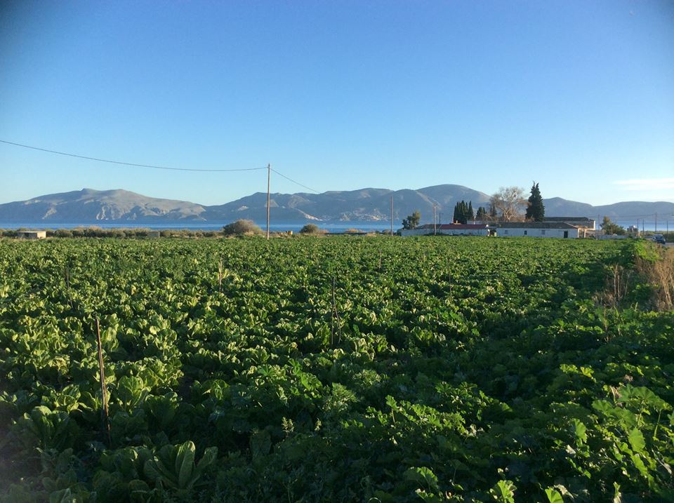 Metochi (mainland Greece), secure parking, then passenger ferry to Hydra Island Greece