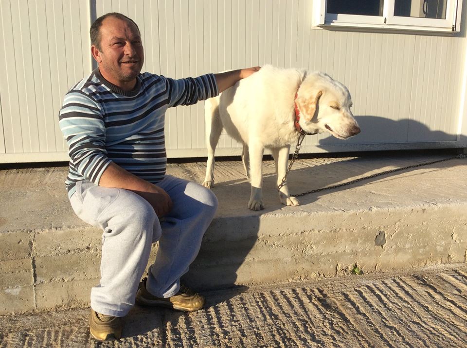 Metochi (mainland Greece), secure parking, then passenger ferry to Hydra Island Greece