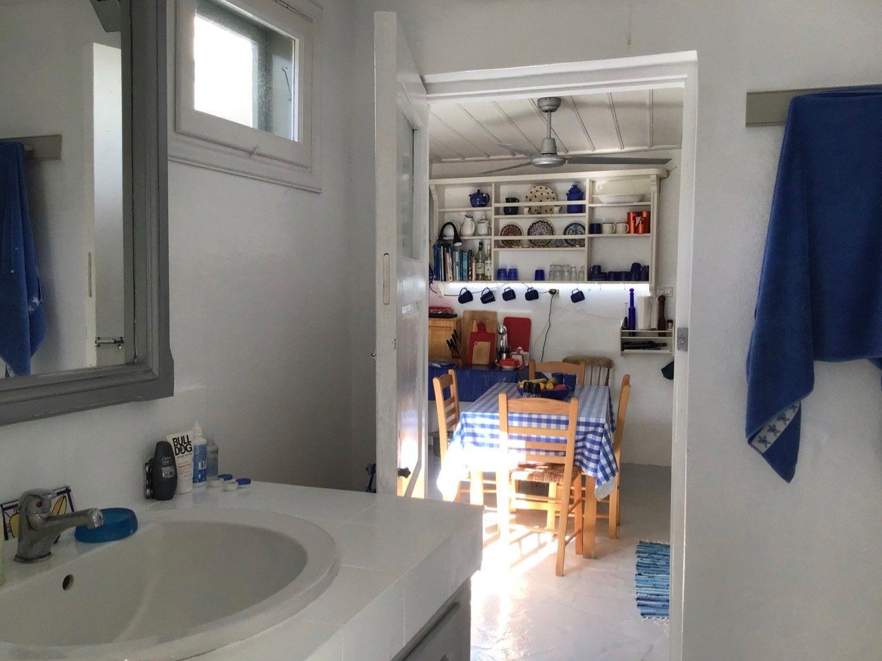 Lemon Tree House, Hydra houses, holiday rentals, holiday house rentals on Hydra Island Greece.