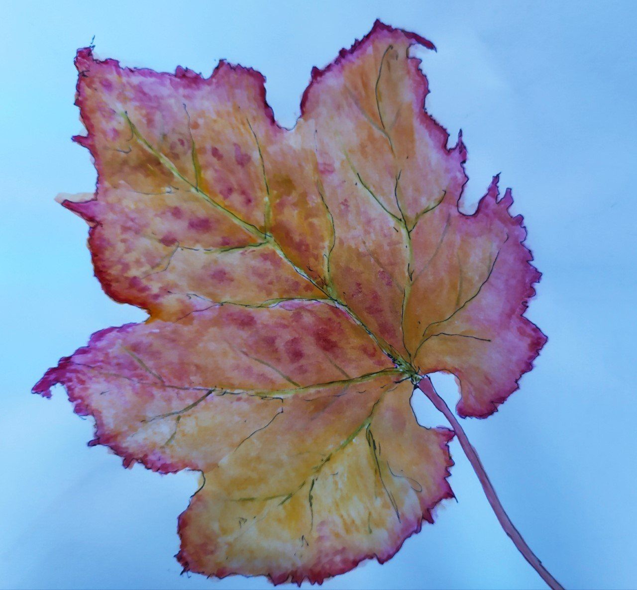 Autumn Vine by artist Jacqui Savidge, Hydra artists.