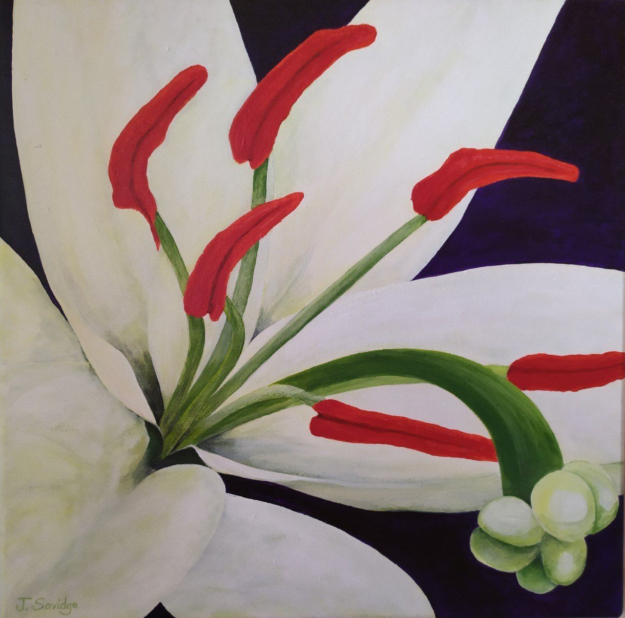 Lily by artist Jacqui Savidge, Hydra artists.
