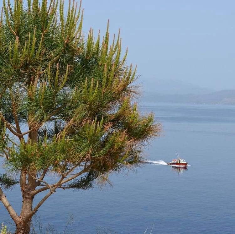 Hydra Island Sea Taxi Eleni with Marina Lazou