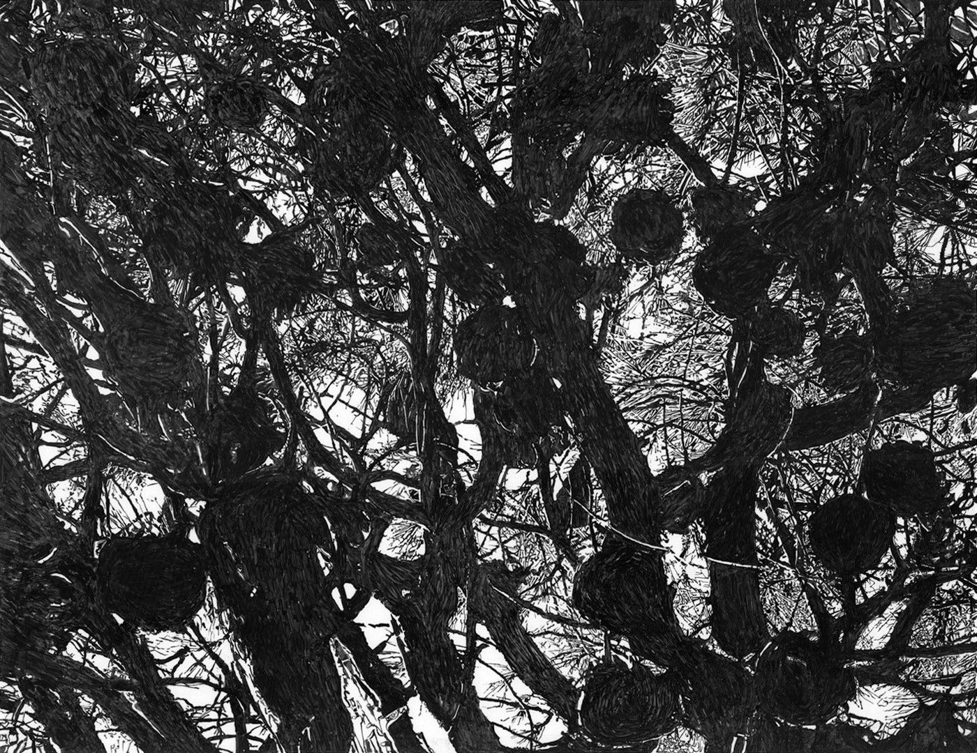 Antigoni Kavvatha, Artists on Hydra Island Greece