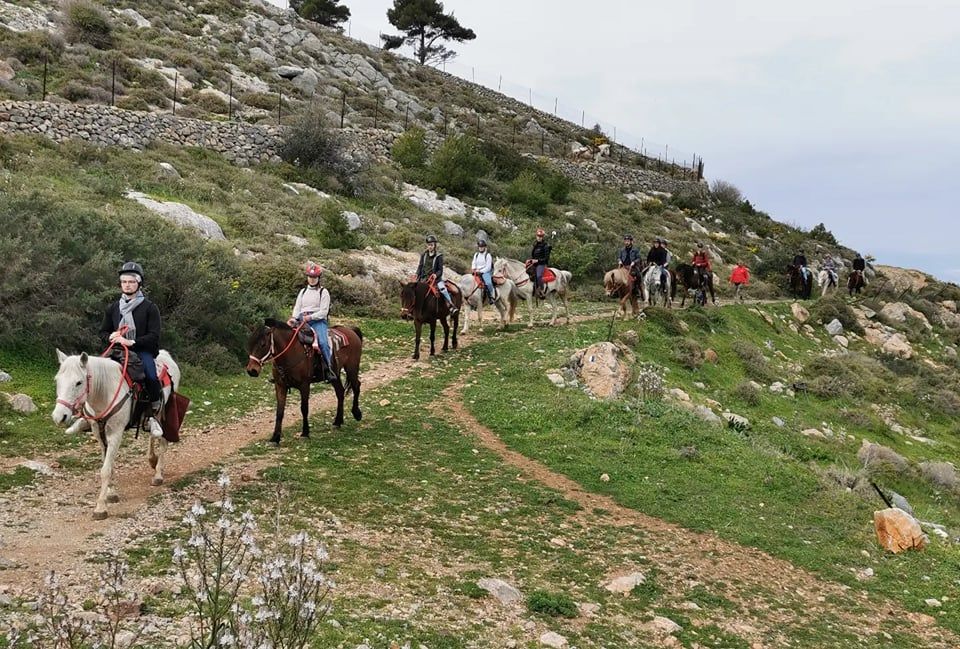 Horse treks on Hydra Island Greece with Harriet Jarman of Harrie's Hydra Horses