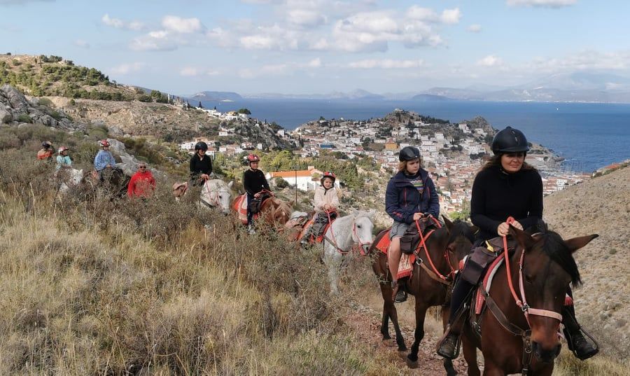 Harriet's Hydra Horses St. Matrona Trek on Hydra Island Greece