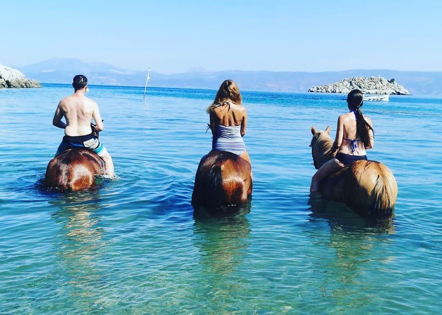 Harriet's Hydra Horses Seahorse Trek on Hydra Island Greece