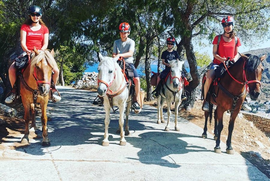 Harriet's Hydra Horses Ag. Konstantinos Trek on Hydra Island Greece
