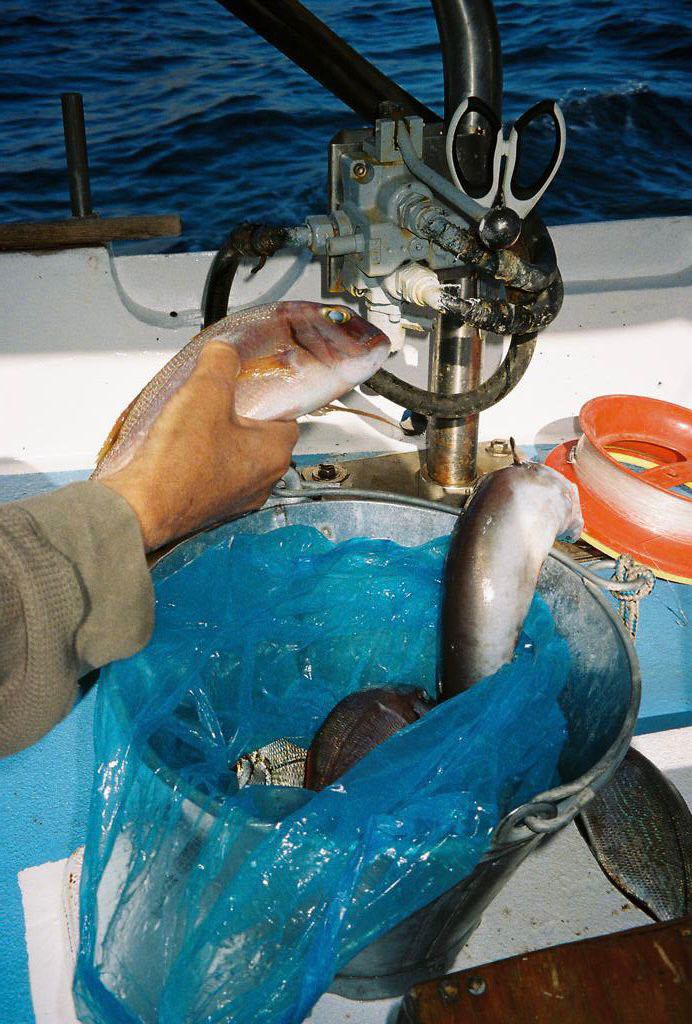 Hydra Fishing Trips with Dimitris on Hydra island Greece.