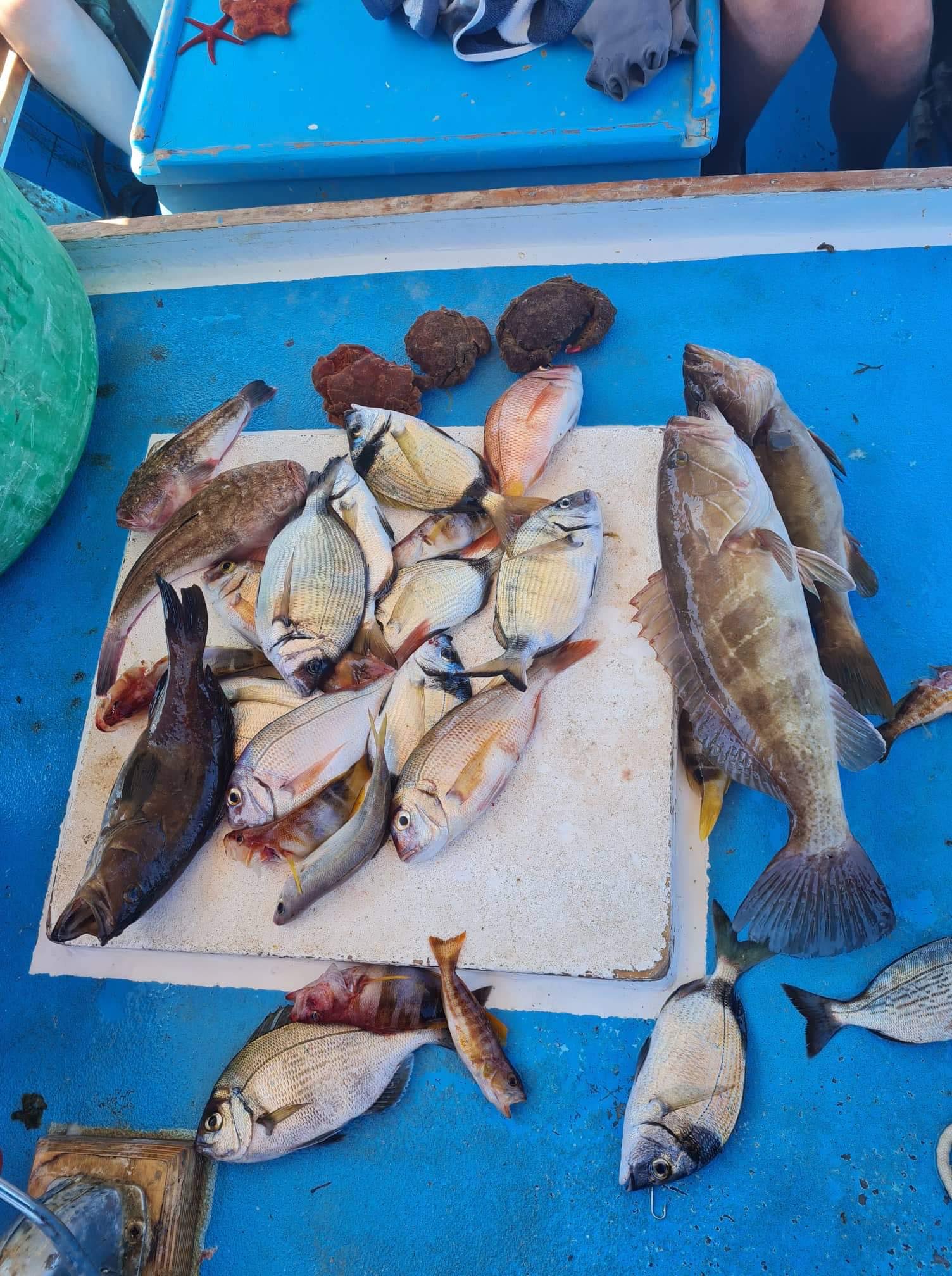 Go fishing with Dimitris of Hydra Fishing Trips and have fun on your Hydra Island Greece holiday.